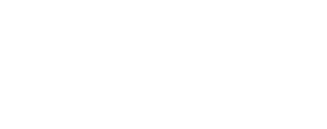 wildbee